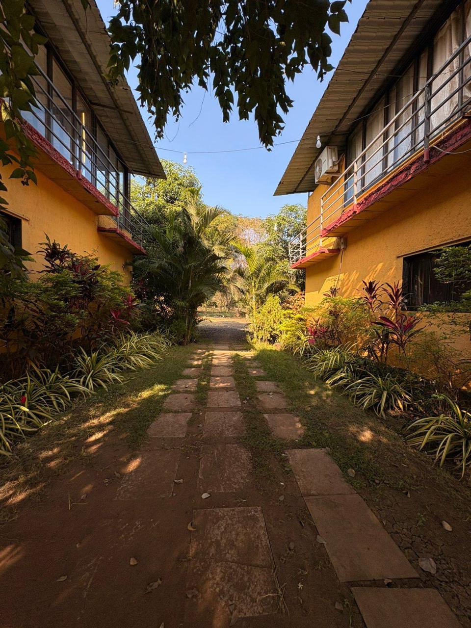 Scenic stone pathway lined with tropical plants between yellow cottages